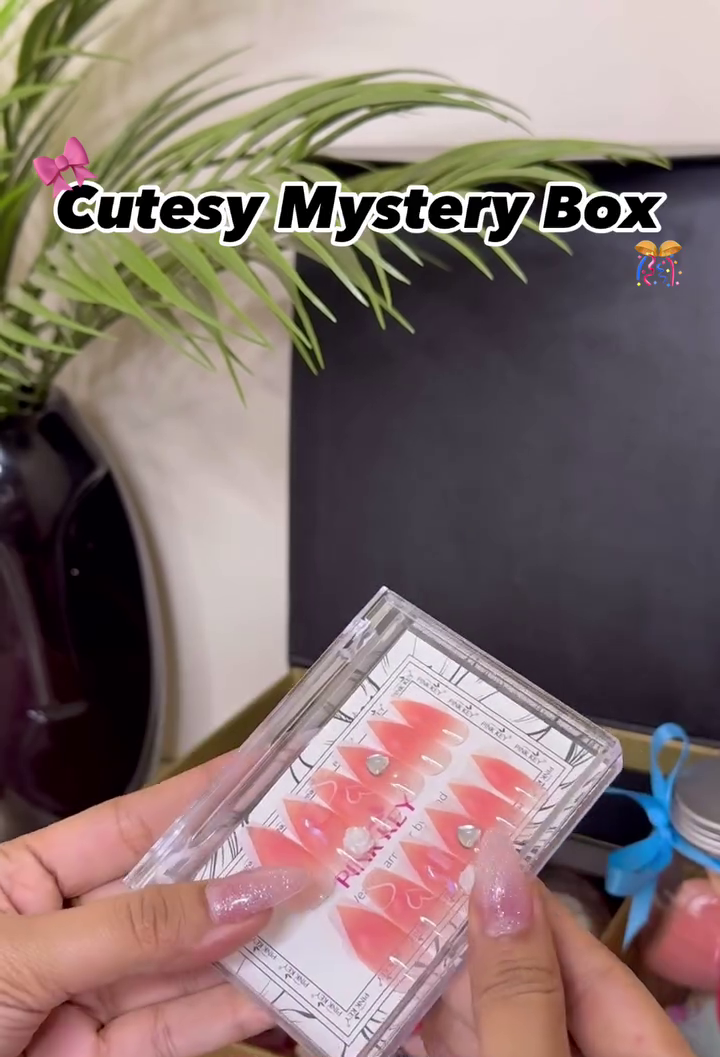Cutesy Glam Mystery Makeup Box SNK SL10 13JAN10