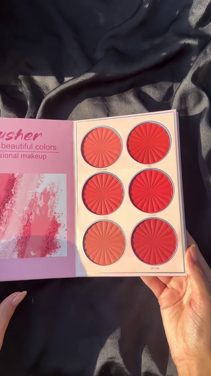 NYLI Professional 5 pages Makeup book Palette Lip color, Highlighter, Blusher, Eyeshadow NK7(17M)